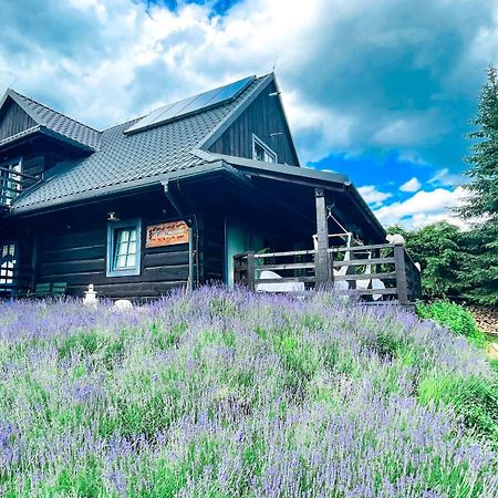 Villa U Lawendowej Wiedzmy Istebna Exterior foto